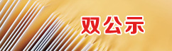 双公示